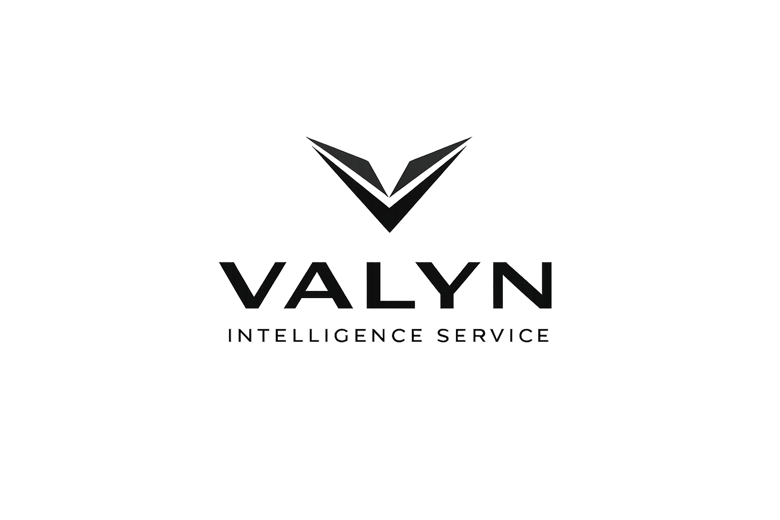 Valyn Intelligence Service